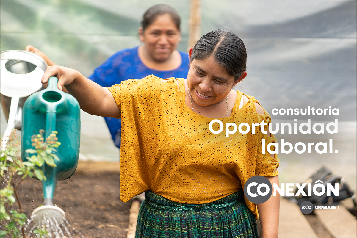 Evaluación final del proyecto “Ecosistemas resilientes en Petén y Alta Verapaz abordando el cambio climático y apoyando los medios de vida de las comunidades locales con un enfoque en las mujeres y las/os jóvenes.